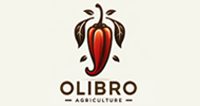 logo-olibro-desarrollo